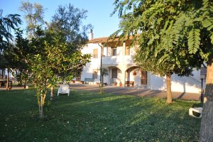 mangiaboschi-sfondo-01