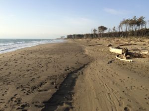 Foto di Tamara Pastorelli