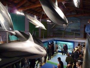 Agriturismo Maremma Museo