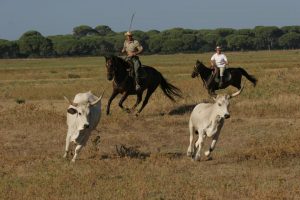 Agriturismo Maremma Butteri