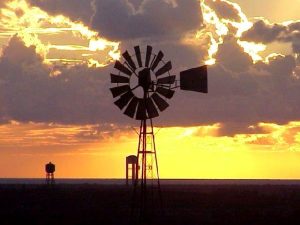 Agriturismo Maremma Pompa Vivarelli