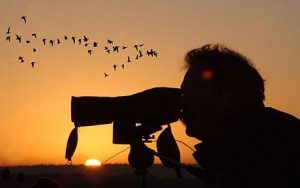 Agriturismo Maremma Birdwatching
