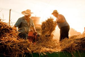 agriturismo-maremma-contadini